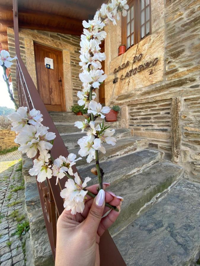 토레드몽코보 Casa Do Ti Latoeiro 게스트하우스 외부 사진